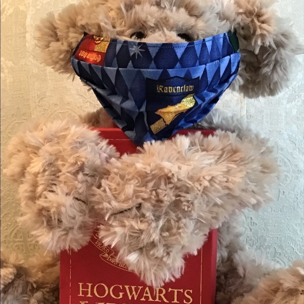 Harry Potter - Hogwart’s House Adult Face Masks